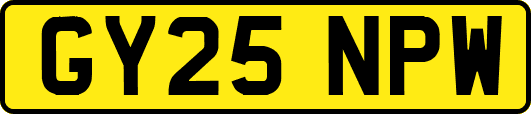 GY25NPW