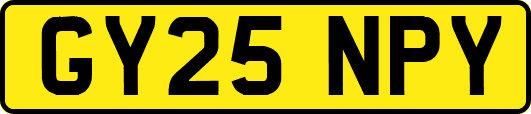 GY25NPY