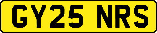 GY25NRS