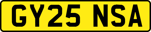 GY25NSA
