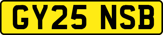 GY25NSB