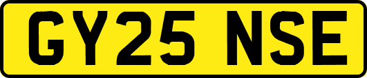 GY25NSE