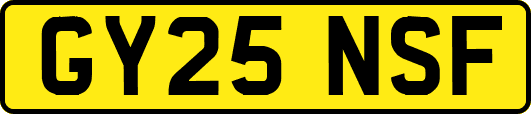 GY25NSF