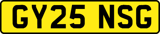GY25NSG