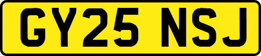 GY25NSJ