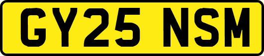GY25NSM