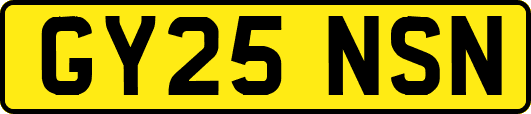 GY25NSN