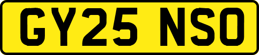 GY25NSO
