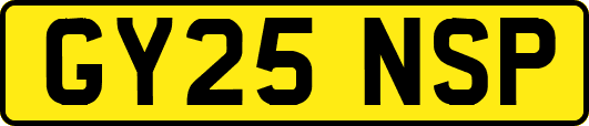 GY25NSP