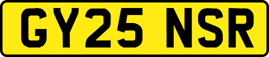 GY25NSR