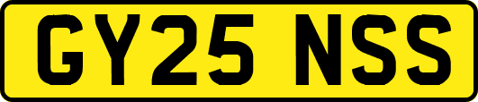 GY25NSS