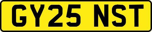 GY25NST