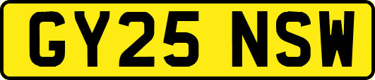 GY25NSW