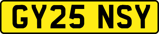 GY25NSY