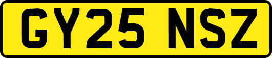 GY25NSZ