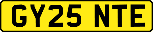 GY25NTE