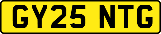 GY25NTG