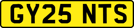 GY25NTS