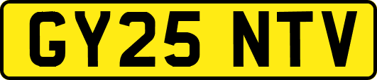 GY25NTV