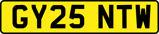 GY25NTW