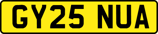 GY25NUA