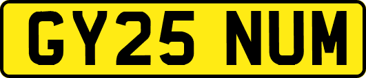 GY25NUM
