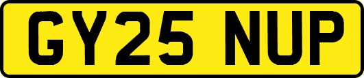 GY25NUP