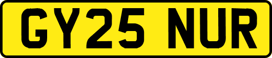 GY25NUR