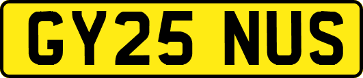 GY25NUS