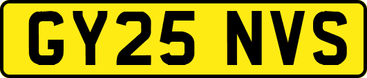 GY25NVS
