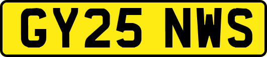 GY25NWS