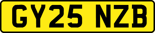 GY25NZB
