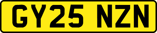 GY25NZN