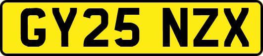 GY25NZX