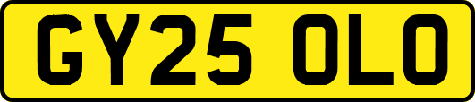 GY25OLO