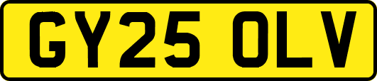 GY25OLV
