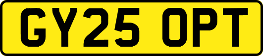 GY25OPT