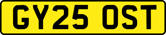 GY25OST