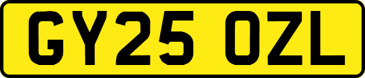 GY25OZL