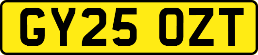 GY25OZT