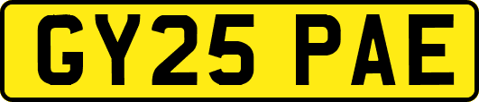 GY25PAE