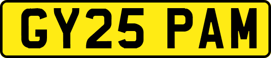 GY25PAM