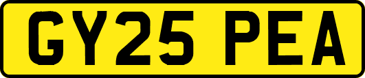 GY25PEA