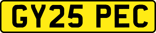 GY25PEC