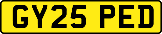 GY25PED