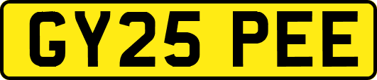 GY25PEE