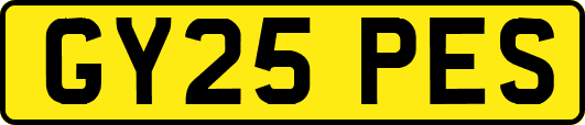 GY25PES
