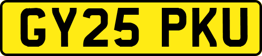 GY25PKU