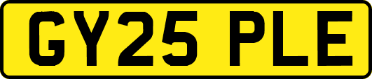 GY25PLE