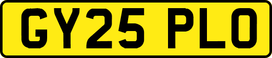 GY25PLO